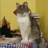 Отзыв от Лилия Измайлова
